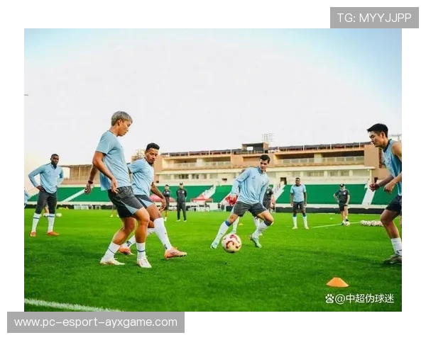 上海申花新外援加盟，球队再度冲击亚冠资格